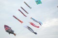 Cervia, Ravenna - Italy: 2019 01 05 ARTEVENTO CERVIA - International Kite Free Festival