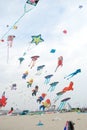 Cervia, Ravenna - Italy: 2019 01 05 ARTEVENTO CERVIA - International Kite Free Festival