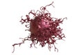 Cervical cancer cells Royalty Free Stock Photo