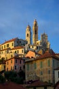 Cervo Royalty Free Stock Photo