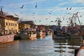 Cesenatico, Emilia Romagna, Italy: fishing boats with seagulls f