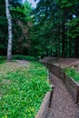 Trenches near Stachelberg Artillery Fort Royalty Free Stock Photo