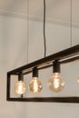 the cesto collection of edison lights