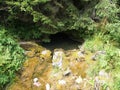 Cetatile Ponorului cave entrance in Apuseni national reserve, Romania