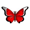 Cethosia biblis butterfly icon, cartoon style Royalty Free Stock Photo