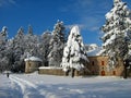 Cetinje and snow