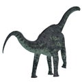 Cetiosaurus Dinosaur Tail Royalty Free Stock Photo