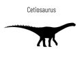 Cetiosaurus. Sauropodomorpha dinosaur. Monochrome vector illustration of silhouette of prehistoric creature Cetiosaurus Royalty Free Stock Photo