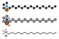 Cetrimonium bromide antiseptic surfactant molecule Royalty Free Stock Photo