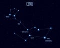 Cetus constellation, vector illustration with the names of basic stars