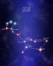 Cetus the sea monster constellation on a starry space background with the names of its main stars. Relative sizes and different