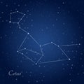 Cetus, whale, constellation Royalty Free Stock Photo