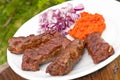 Cevapcici with ajvar paste Royalty Free Stock Photo