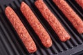 Cevapi, cevapcici, Balkan minced meat kebab Royalty Free Stock Photo