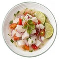 Ceviche Illustration Royalty Free Stock Photo