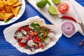 Ceviche Mexican style recipe with nachos Royalty Free Stock Photo