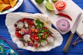 Ceviche Mexican style recipe with nachos Royalty Free Stock Photo