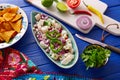 Ceviche Mexican style recipe with nachos Royalty Free Stock Photo