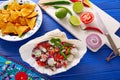 Ceviche Mexican style recipe with nachos Royalty Free Stock Photo