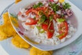 Ceviche mixto Royalty Free Stock Photo