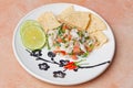 Ceviche Platter Royalty Free Stock Photo