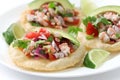 Tostadas de ceviche, mexican food Royalty Free Stock Photo