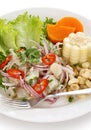 Ceviche, seafood dish, peruvian cuisine Royalty Free Stock Photo
