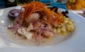 Ceviche, Traditional peruvian dish Royalty Free Stock Photo