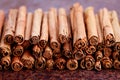 Ceylon cinnamon Royalty Free Stock Photo