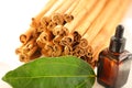 Ceylon cinnamon sticks wholesale packaging