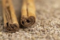 Ceylon real cinnamon with anise seeds Royalty Free Stock Photo