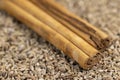 Ceylon real cinnamon with anise seeds Royalty Free Stock Photo