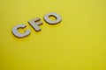 CFO wooden letters on yellow cover background. Senior Executive Level concept