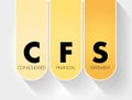 CFS - Consolidated Financial Statement acronym, business concept background Royalty Free Stock Photo