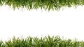 CG background of leaf and frame.Grass frame White back Royalty Free Stock Photo