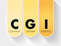 CGI - Common Gateway Interface acronym, technology concept background