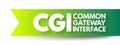 CGI Common Gateway Interface - provides the middleware between www servers and external databases and information sources, acronym