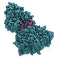CGRP receptor (RAMP1:CLR fusion protein). Antagonists of the calcitonin gene-related peptide receptor (GCRP receptor antagonists)