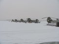 Snowy Chinooks