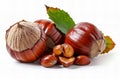 Ch? description a chestnut fruit with shell and leaf isolated on white background, detailed photo Royalty Free Stock Photo