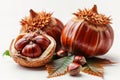 Ch? description a chestnut fruit with shell and leaf isolated on white background, detailed photo Royalty Free Stock Photo