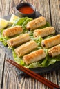 Cha gio or nem ran or fried spring roll, is a popular dish in Vietnamese cuisine closeup on the plate. Vertical