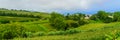 Cha Gorreana tea factory plantation in green summer colours on Sao Miguel island, Azores, Portugal