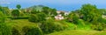 Cha Gorreana tea factory plantation in green summer colours on Sao Miguel island