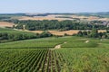 chablis vineyards and cultivated fields in distance Royalty Free Stock Photo