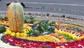 Chacana or Ceremony in homage to Pachamama, Ecuador