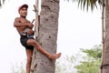 CHACHOENGSAO, THAILAND - MAY 12,2019 : Farmer middle-aged man climbing the palmyra palm tree or science name Borassus flabellifer