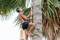 CHACHOENGSAO, THAILAND - MAY 12,2019 : Farmer middle-aged man climbing the palmyra palm tree or science name Borassus flabellifer