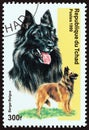 CHAD - CIRCA 1999: A stamp printed in Chad from the `Dogs` issue shows Belgian Shepherd Dog, circa 1999.