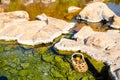 Chae Son National Park hot springs, Thailand Royalty Free Stock Photo